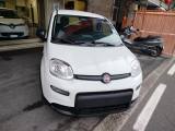 FIAT Panda 1.0 FireFly S&S Hybrid KM 0