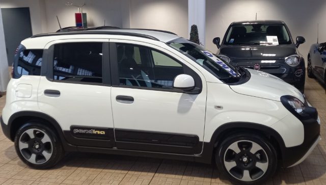 FIAT Panda Cross PANDINO 1.0 FireFly S&S Hybrid Immagine 1