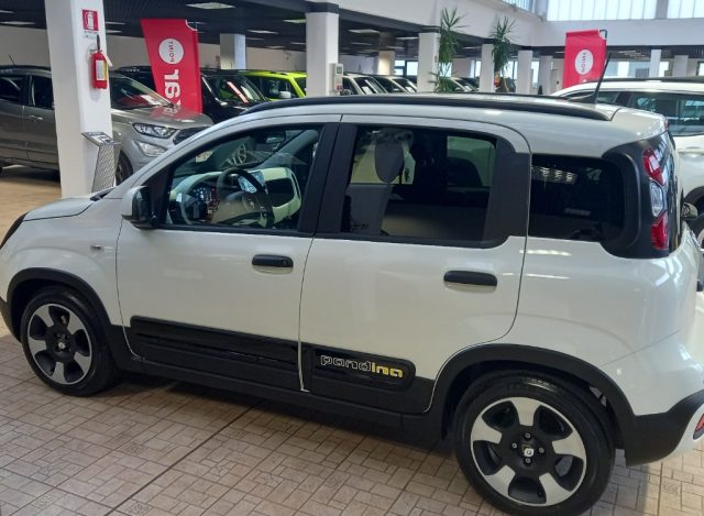 FIAT Panda Cross PANDINO 1.0 FireFly S&S Hybrid Immagine 2