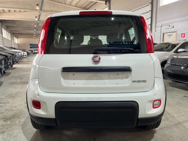 FIAT Panda 1.0 FireFly S&S Hybrid CityLife 5 POSTI/OK NEOPATE Immagine 4