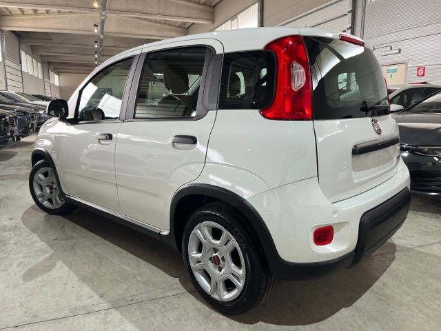 FIAT Panda 1.0 FireFly S&S Hybrid CityLife 5 POSTI/OK NEOPATE Immagine 3