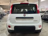 FIAT Panda 1.0 FireFly S&S Hybrid CityLife 5 POSTI/OK NEOPATE