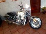 HARLEY-DAVIDSON 1130 V-ROD - VRSCA centenario