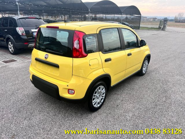 FIAT Panda 1.0 FireFly S&S Hybrid Immagine 2