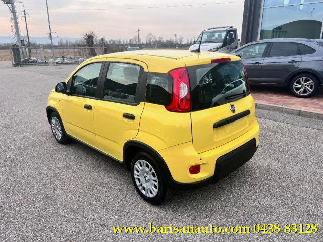 FIAT Panda 1.0 FireFly S&S Hybrid Immagine 3