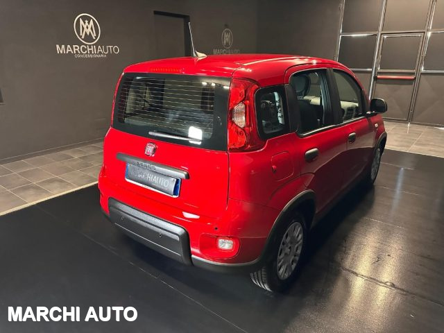 FIAT Panda 1.0 FireFly S&S Hybrid Immagine 4