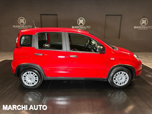 FIAT Panda 1.0 FireFly S&S Hybrid Immagine 3