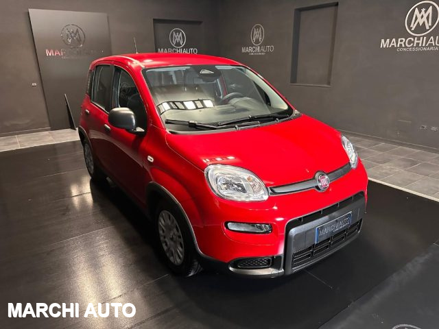 FIAT Panda 1.0 FireFly S&S Hybrid Immagine 2