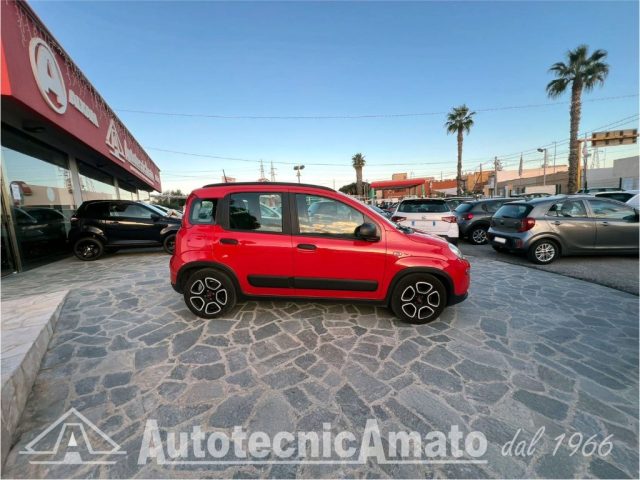 FIAT Panda 3° serie 1.0 FireFly S&S Hybrid City Life Immagine 3