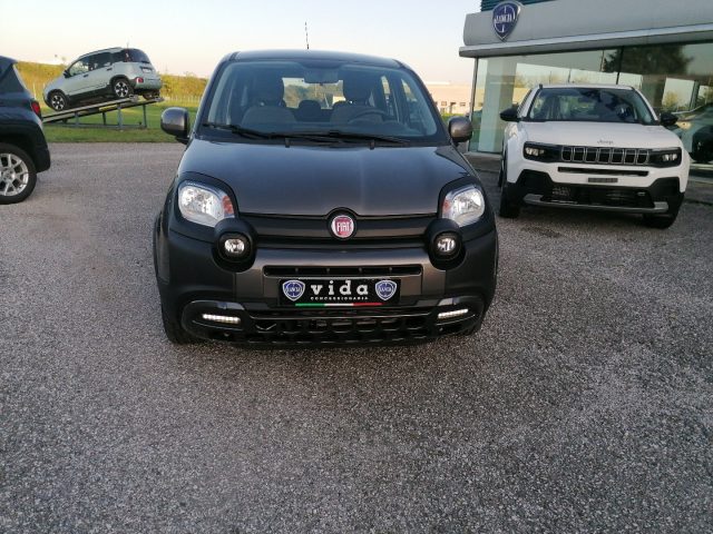 FIAT Panda 1.0 FireFly S&S Hybrid City Cross Immagine 3