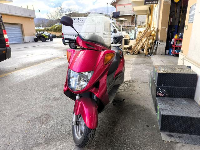 HONDA Foresight 250 Immagine 1