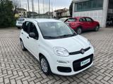 FIAT Panda 1.0 FireFly S&S Hybrid IDONEA PER NEOPATENTATI