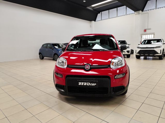 FIAT Panda 1.0 FireFly S&S Hybrid Immagine 1