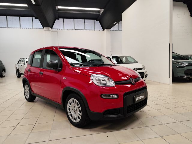 FIAT Panda 1.0 FireFly S&S Hybrid Immagine 2