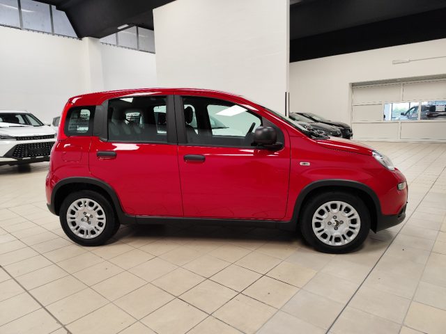 FIAT Panda 1.0 FireFly S&S Hybrid Immagine 3