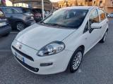 FIAT Punto 1.2 8V 5 porte Street Uniprò km 95000 Neopatentati