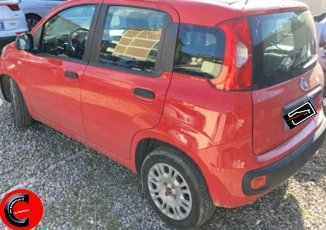 FIAT Panda 1.0 FireFly S&S Hybrid Easy Immagine 1