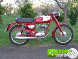 MOTO MORINI Other 125 Corsaro