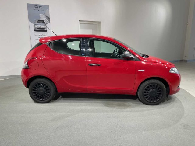 LANCIA Ypsilon 1.2 69 CV 5 porte Elefantino Blu Immagine 4