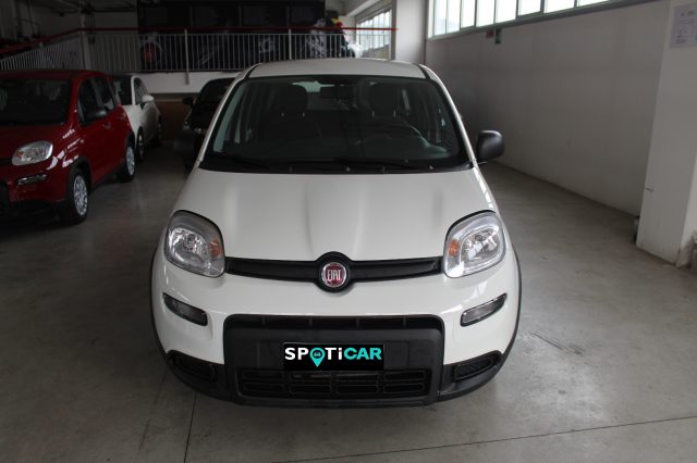 FIAT Panda 1.0 FireFly S&S Hybrid Immagine 1