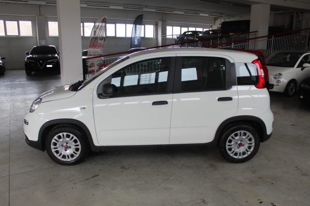 FIAT Panda 1.0 FireFly S&S Hybrid Immagine 2