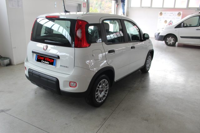 FIAT Panda 1.0 FireFly S&S Hybrid Immagine 3