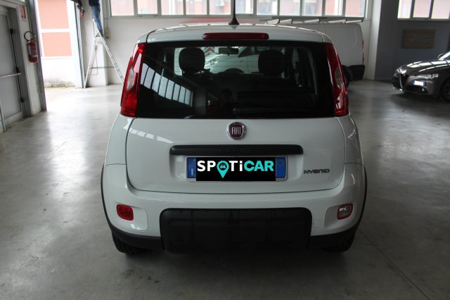 FIAT Panda 1.0 FireFly S&S Hybrid Immagine 4