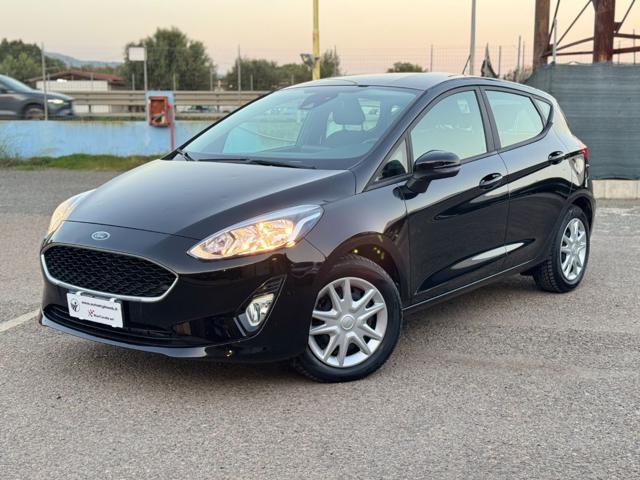 FORD Fiesta 1.1 5 porte Plus Immagine 1