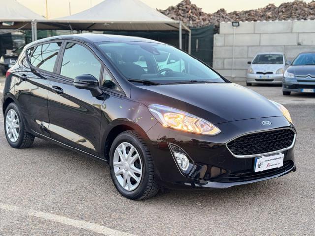 FORD Fiesta 1.1 5 porte Plus Immagine 4