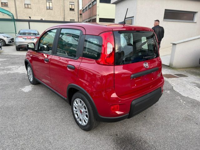 FIAT Panda 1.0 FireFly S&S Hybrid con Pack Comfort Immagine 2