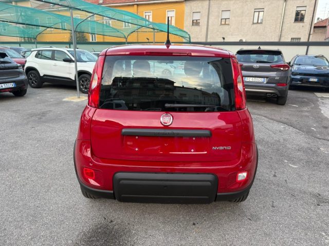 FIAT Panda 1.0 FireFly S&S Hybrid con Pack Comfort Immagine 3