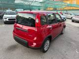 FIAT Panda 1.0 FireFly S&S Hybrid con Pack Comfort