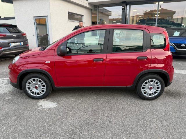 FIAT Panda 1.0 FireFly S&S Hybrid/GPL con Pack Comfort Immagine 1