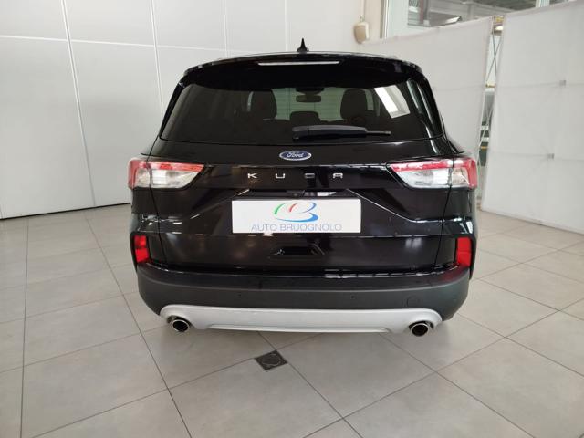 FORD Kuga 1.5 EcoBlue 120 CV 2WD Titanium Business Immagine 4