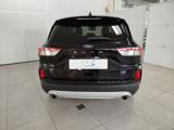 FORD Kuga 1.5 EcoBlue 120 CV 2WD Titanium Business