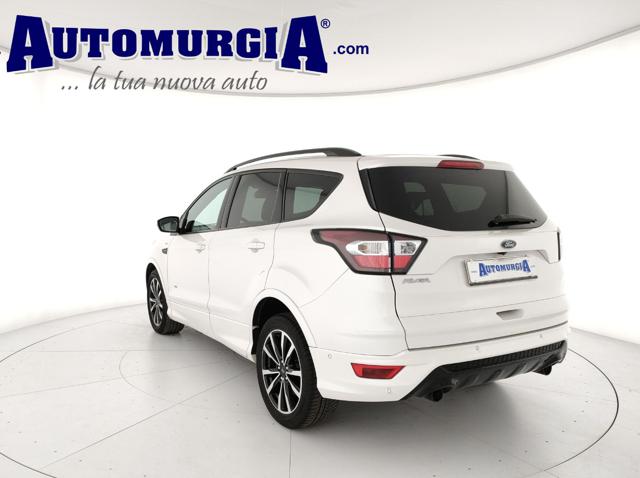 FORD Kuga 2.0 TDCI 180 CV S&S 4WD Powershift ST-Line TETTO Immagine 3