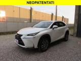 LEXUS NX 300 Hybrid 4WD Executive