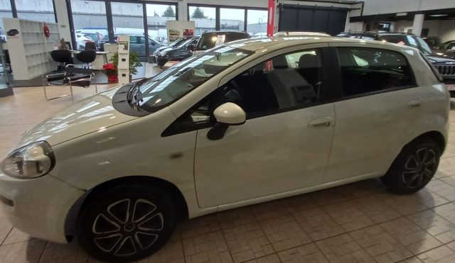 FIAT Punto 1.2 8V 5 porte Easy Immagine 1