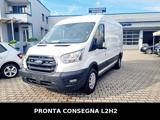 FORD Transit Custom 340 2.0 EcoBlue 170 PMTM Furgone L2H2