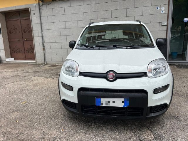 FIAT Panda 1.0 FireFly S&S Hybrid City Life Immagine 1