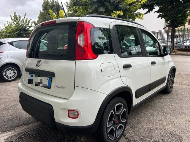 FIAT Panda 1.0 FireFly S&S Hybrid City Life Immagine 2