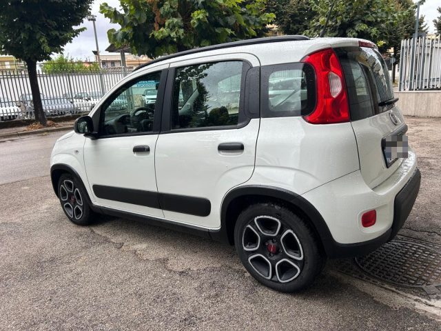 FIAT Panda 1.0 FireFly S&S Hybrid City Life Immagine 3