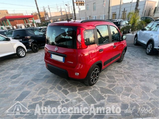 FIAT Panda 3° serie 1.0 FireFly S&S Hybrid City Life Immagine 4