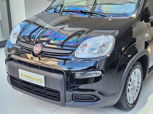 FIAT Panda 1.0 FireFly S&S Hybrid Pandina da ?149,00 mensili Immagine 4