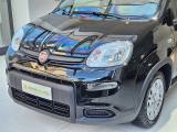 FIAT Panda 1.0 FireFly S&S Hybrid Pandina da ?149,00 mensili