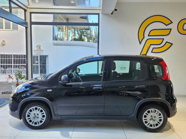 FIAT Panda 1.0 FireFly S&S Hybrid Pandina da ?149,00 mensili Immagine 1