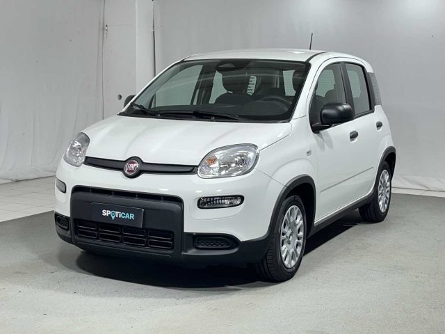 FIAT Panda 1.0 FireFly S&S Hybrid Immagine 0