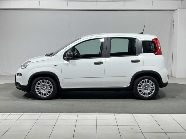 FIAT Panda 1.0 FireFly S&S Hybrid Immagine 1