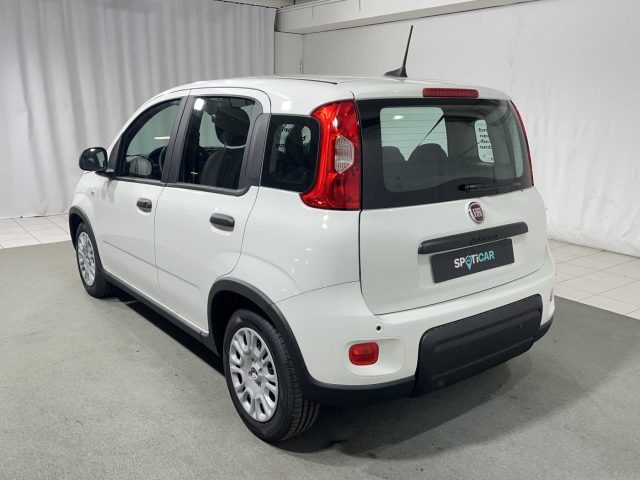 FIAT Panda 1.0 FireFly S&S Hybrid Immagine 2