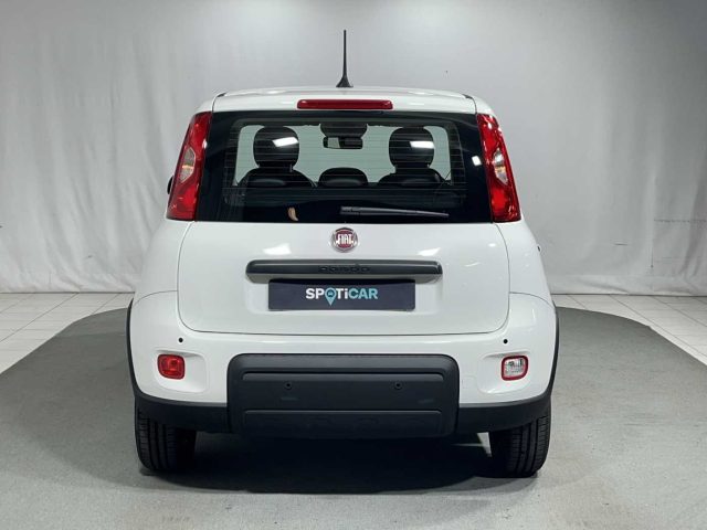 FIAT Panda 1.0 FireFly S&S Hybrid Immagine 3